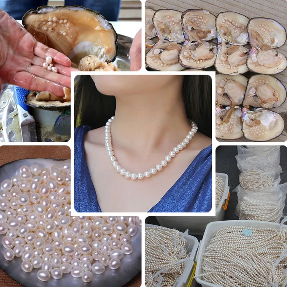 Collier boutique couleur Ms. 8MM - FEWDG Perles rondes en coquillage de la mer du Sud Prix de gros en usine Perle de corail_voghion.com