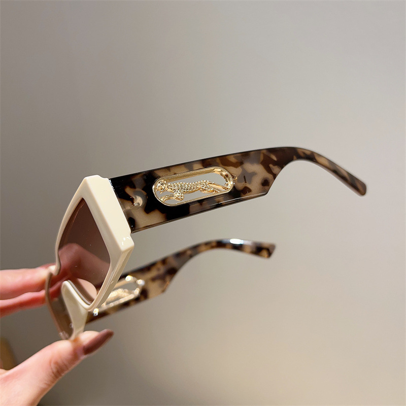 Cornice piccola in metallo con cavo resistente ai raggi UV, foto di strada alla moda, celebrità di Internet, lo stesso stile di_voghion.com