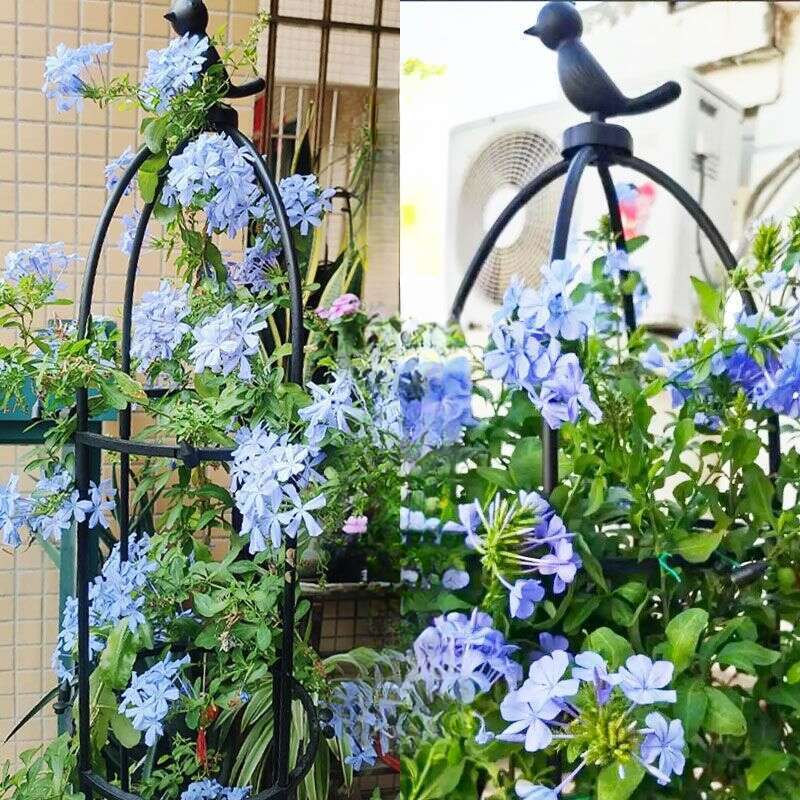 【 Rată de recenzii pozitive de 93% 】 Suport pentru plante verzi, în stil european, pentru balcon, cățărător, poate fi îmbinat cu mai multe suporturi_voghion.com