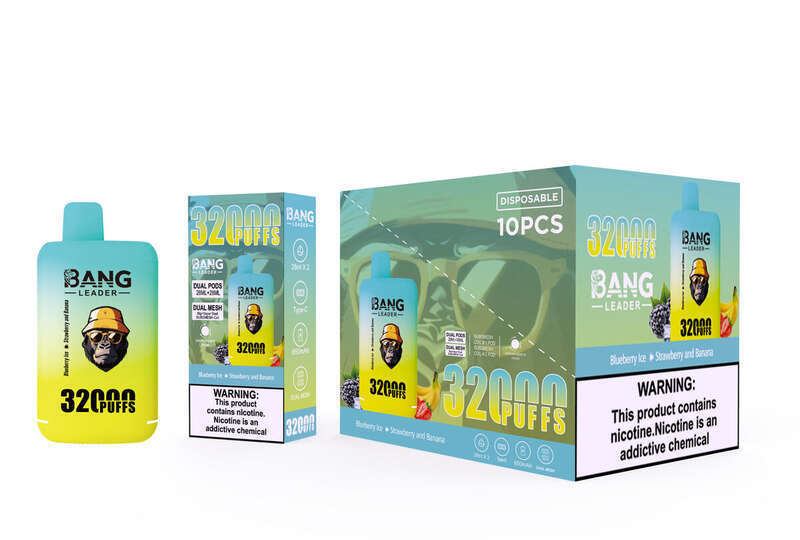 3 SZT. 5 SZT. 10 SZT. 32KPuffs Bang LEADER Podwójny Smak Jednorazowe Urządzenie Vape 28 * 2ML Wstępnie Napełnione 650 MAH Typ-C Vapes_voghion.com
