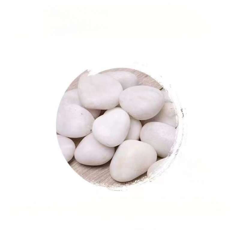 Maceta hidropónica de guijarros blancos puros naturales pulidos para balcón, jardín y paisajismo._voghion.com