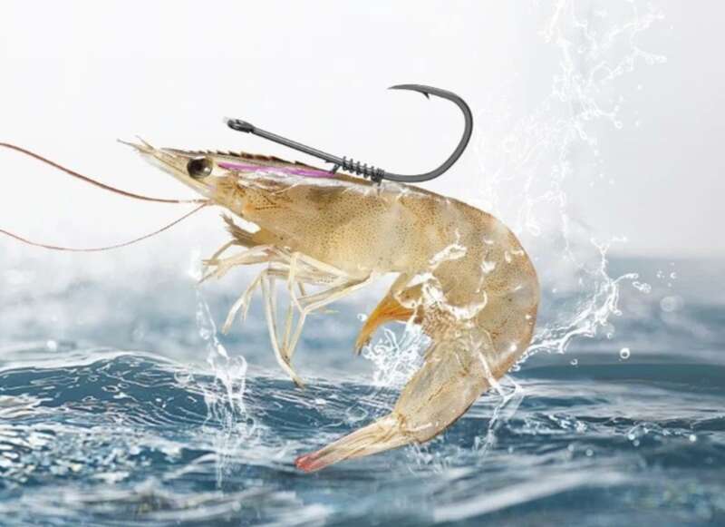 Shrimp Back Spring Hanging, Live Hook, Floating Shrimp Fishing Set, Tied Up, Finished Product, Lu Ya Rock Sea Fishing,_voghion.com
