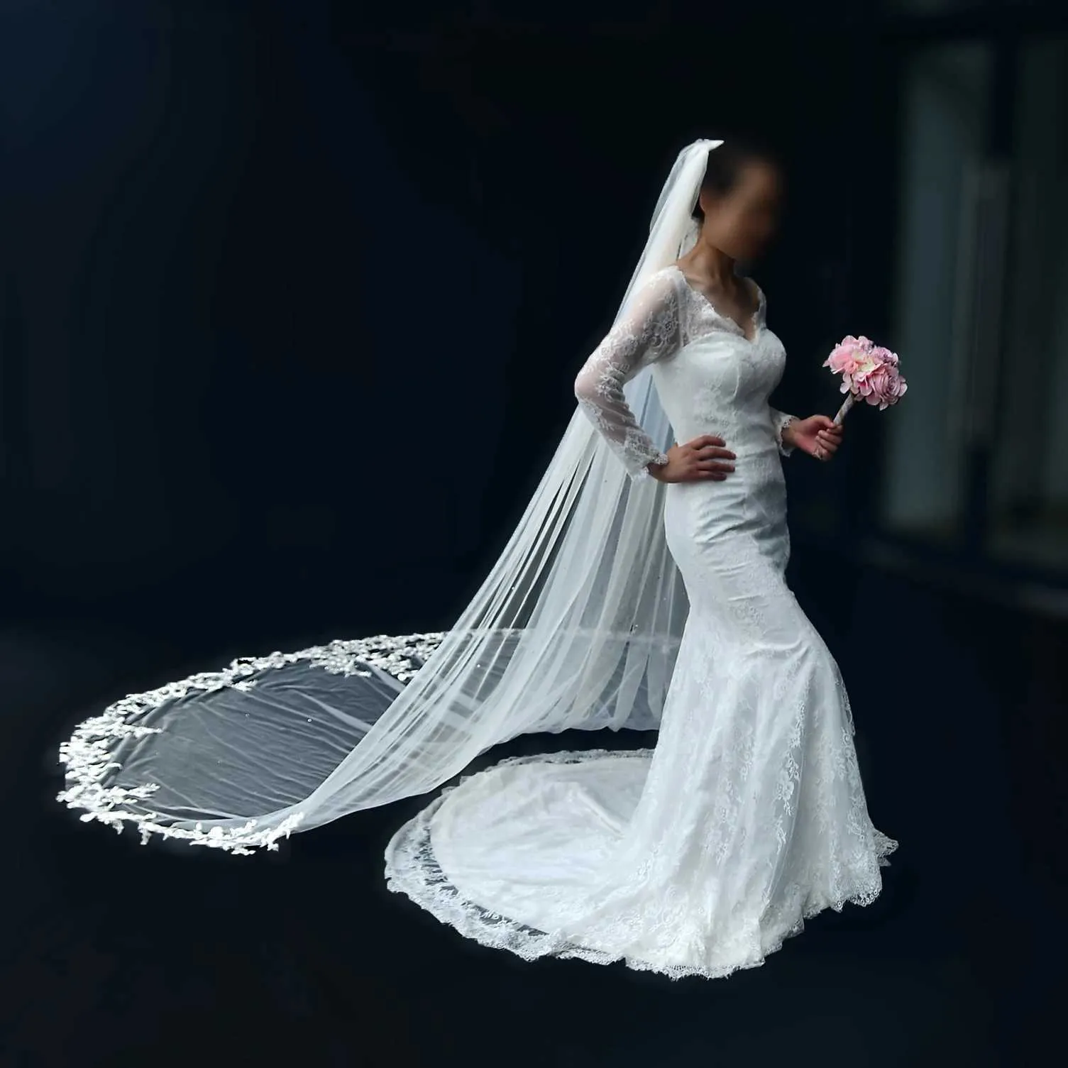 Haarsieraden V206 Lange sluiers voor bruiden Bruidssluier Plus-size jurken Accessoires Kant Borduurwerk Bruiloftssluier_voghion.com