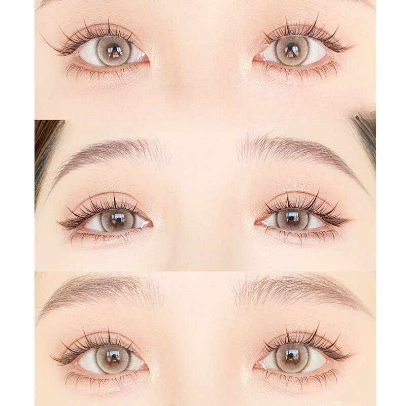 Schwarzer Stiel, natürlich segmentiert, Newbie Trilogy, einzelnes Büschel, Manga-Augen-Falsche Wimpern_voghion.com