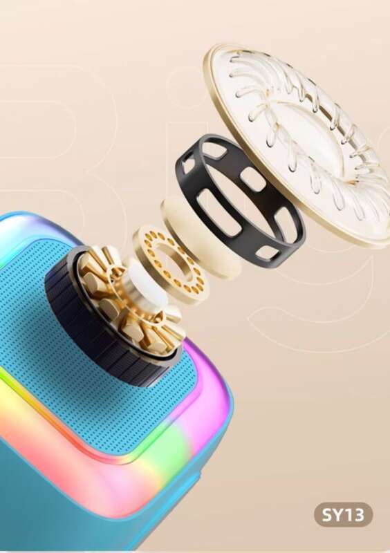 Set KTV per famiglie, microfono per karaoke, macchina tutto in uno, regalo per bambini Bluetooth, audio portatile per donne_voghion.com