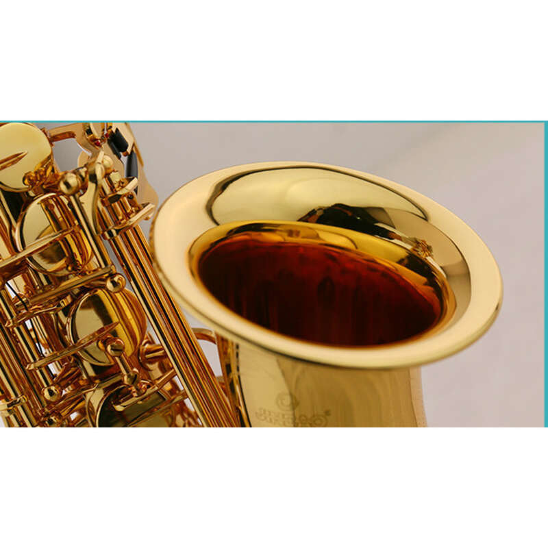 Jinbao JBAS-601 Altsaxophon auf E-Taste herabgestuft Schulband Professionelle Leistung Blechblasinstrument-Bewertungsprüfung_voghion.com