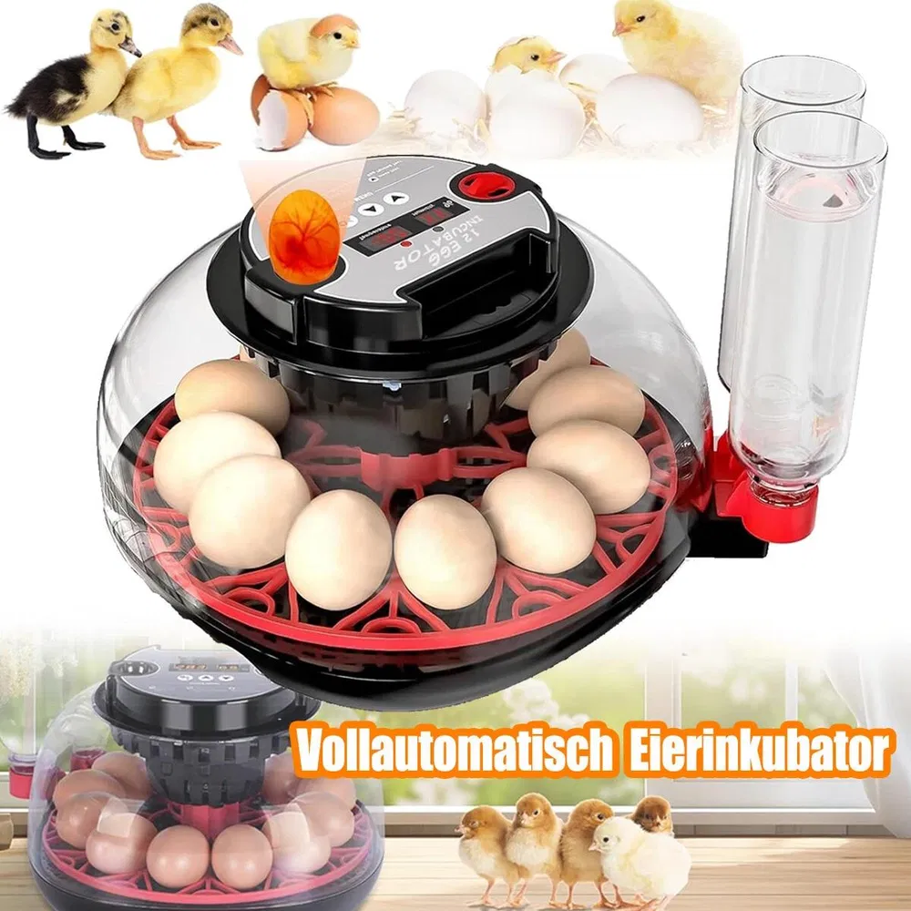 $12 Digital Egg Incubator With Automatic Hatching Function_voghion.com