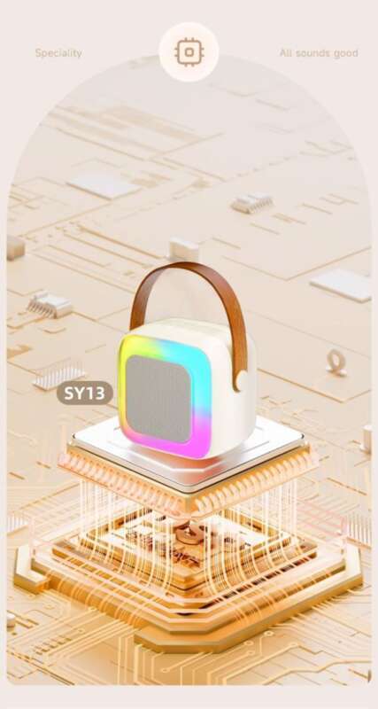 Set KTV per famiglie, microfono per karaoke, macchina tutto in uno, regalo per bambini Bluetooth, audio portatile per donne_voghion.com