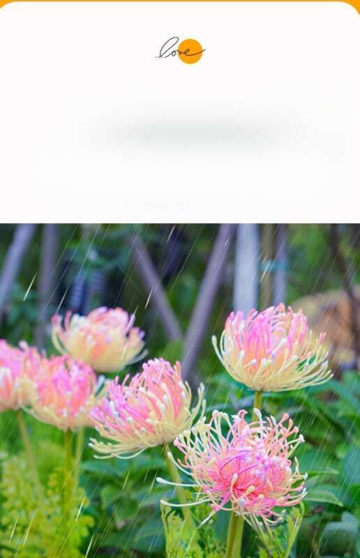 Nueva lámpara LED de diente de león con energía solar para enchufar en el suelo, para exteriores, para decorar patios, con simulación de césped y césped._voghion.com