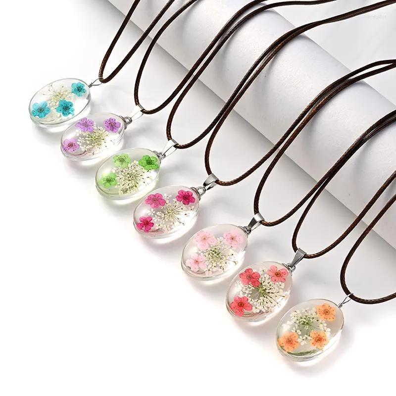 Chaînes Transparent Ovale Véritable Fleur Naturelle Séchée Verre Pendentif Chaîne En Cuir Collier Jonquilles Marguerite Blomoss Pétale_voghion.com